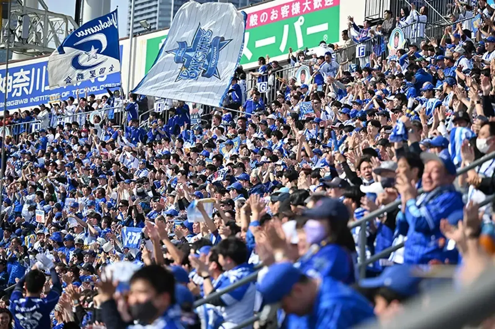 STAR GUIDE - BAYSTARS STAR GUIDE